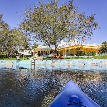 Pams Mermaid House With Riverfront Yard And Lanai! Daire Weeki Wachee Dış mekan fotoğraf