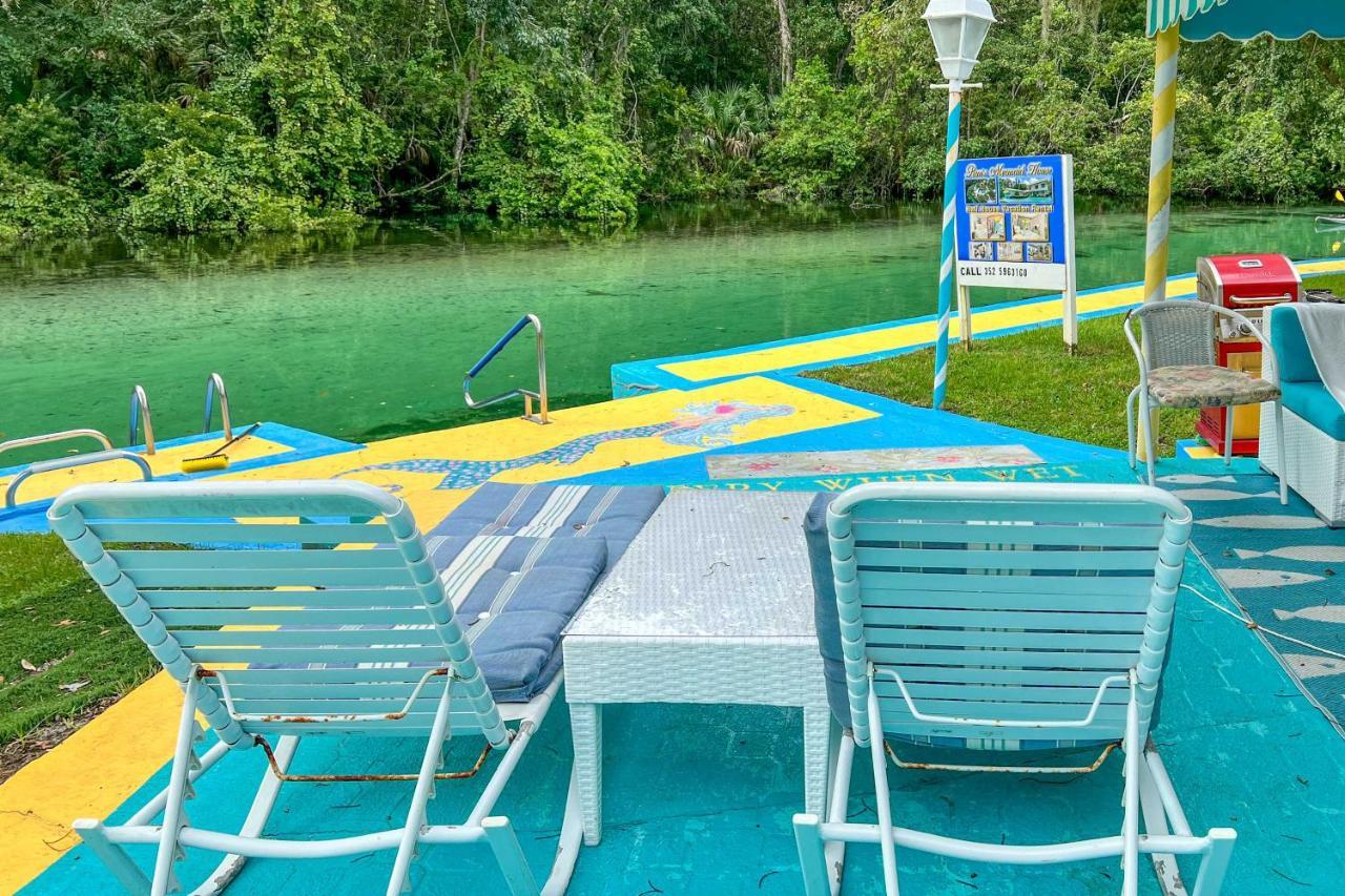 Pams Mermaid House With Riverfront Yard And Lanai! Daire Weeki Wachee Dış mekan fotoğraf
