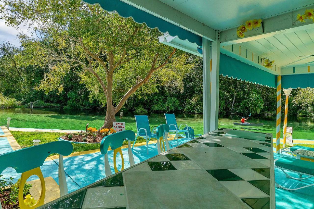 Pams Mermaid House With Riverfront Yard And Lanai! Daire Weeki Wachee Dış mekan fotoğraf